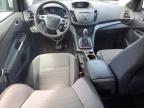 Appleton, WI에서 판매 중인 2013 Ford Escape Se - Front End