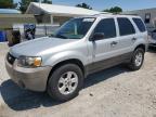 2006 Ford Escape Xlt for Sale in Prairie Grove, AR - Hail
