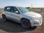 2010 VOLKSWAGEN TIGUAN SE for sale at Copart AB - CALGARY