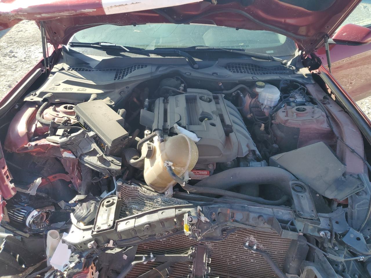 2018 Ford Mustang VIN: 1FA6P8TH8J5184670 Lot: 61280495