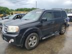 2010 Honda Pilot Exl for Sale in Windsor, NJ - Minor Dent/Scratches