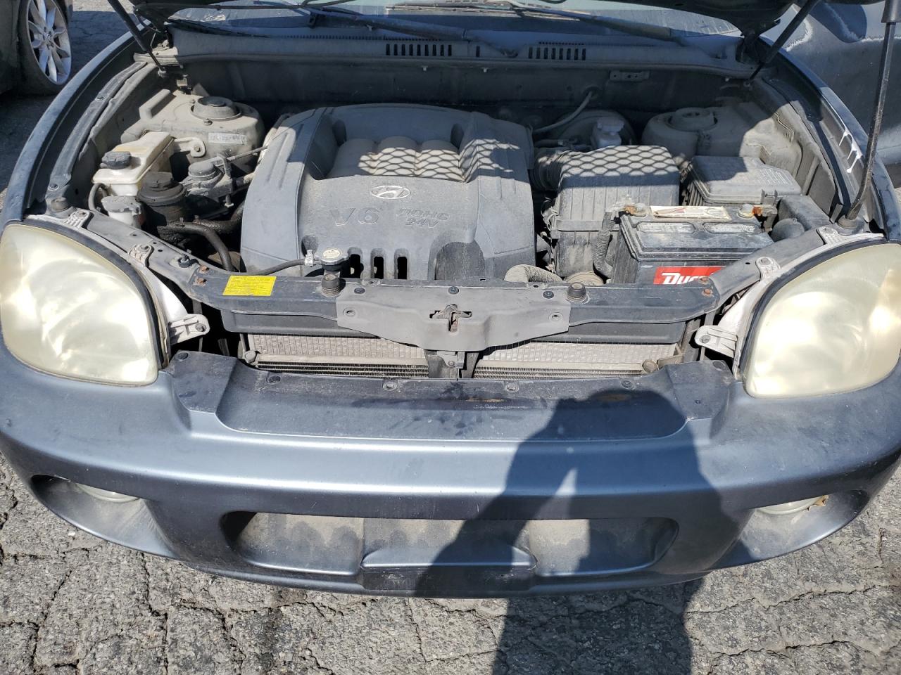 2003 Hyundai Santa Fe Gls VIN: KM8SC13D93U368285 Lot: 62008835