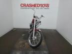 1999 HARLEY-DAVIDSON XL883 C   for sale at Copart MN - MINNEAPOLIS NORTH