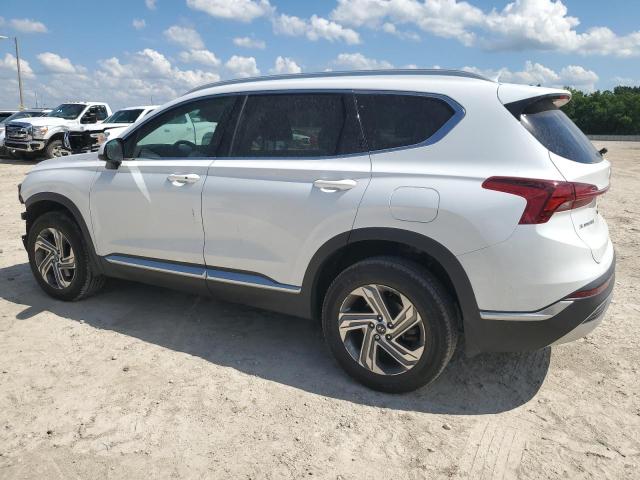  HYUNDAI SANTA FE 2021 Белы