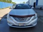 2013 HYUNDAI SONATA GLS   for sale at Copart NB - MONCTON