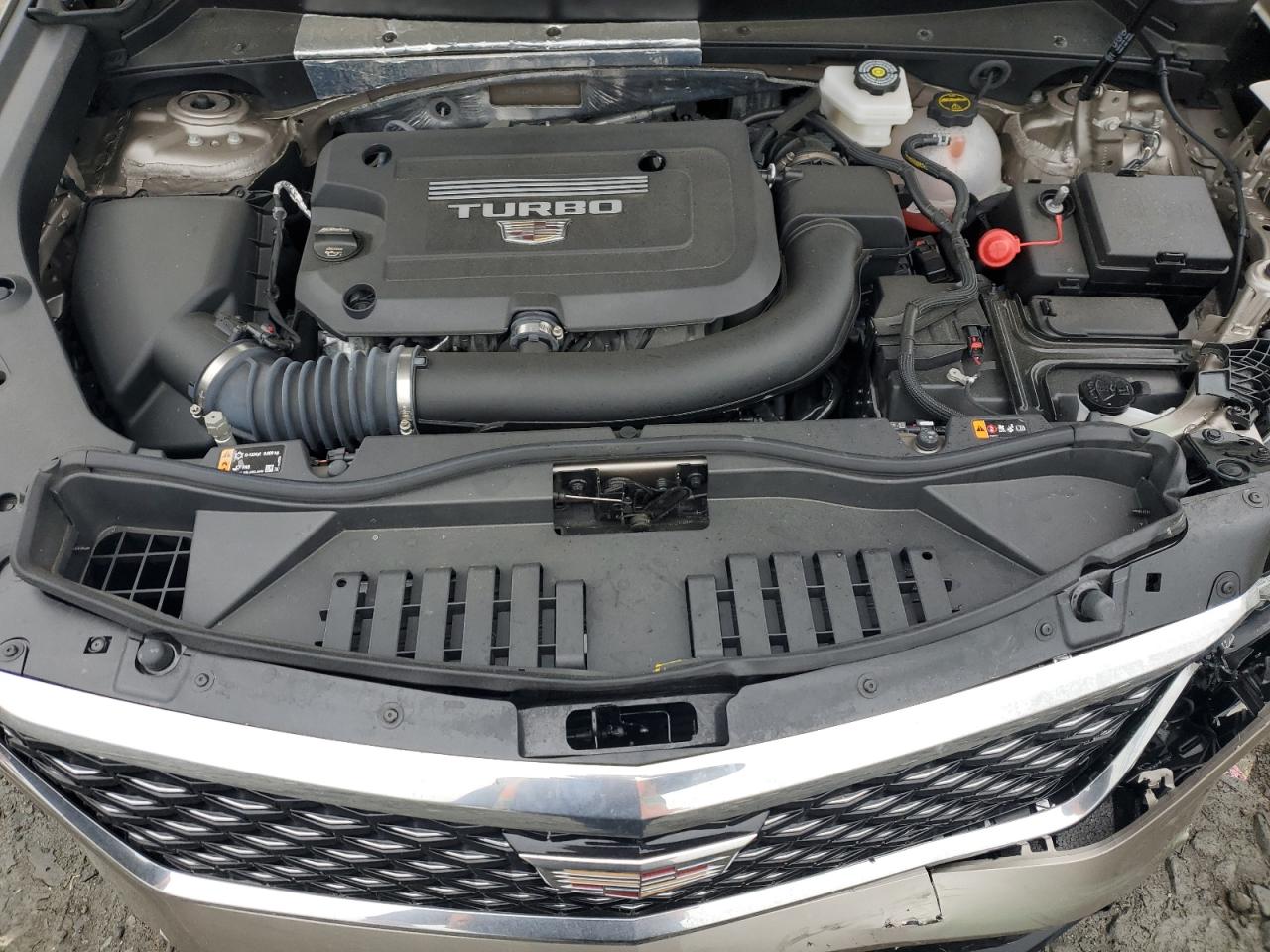 2025 Cadillac Xt4 Premium Luxury VIN: 1GYFZDR40SF119500 Lot: 60691985
