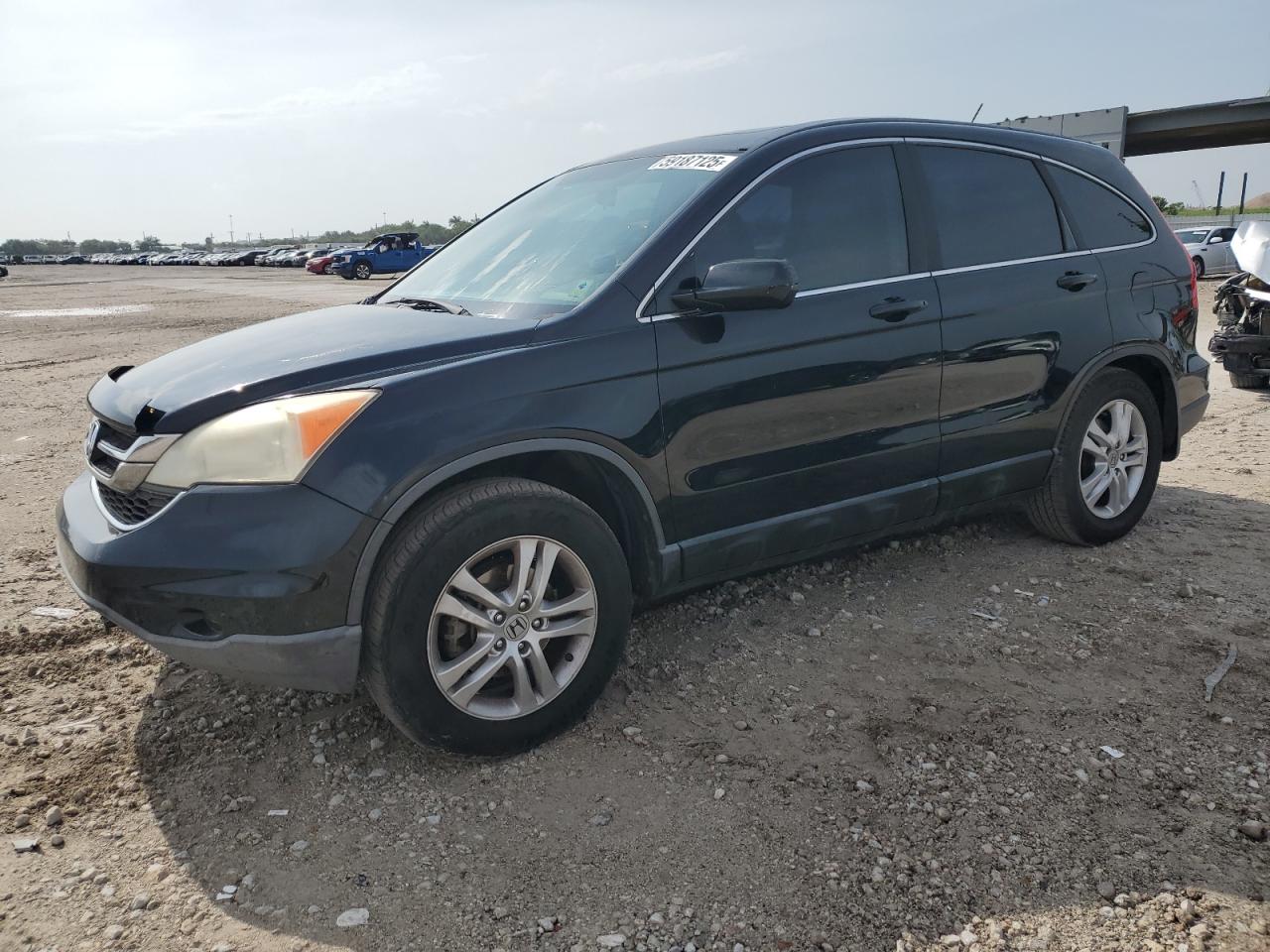 2011 Honda Cr-V Exl продається в West Palm Beach, FL - Front End