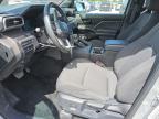 Homestead, FL에서 판매 중인 2024 Toyota Tacoma Double Cab   - Minor Dent/Scratches