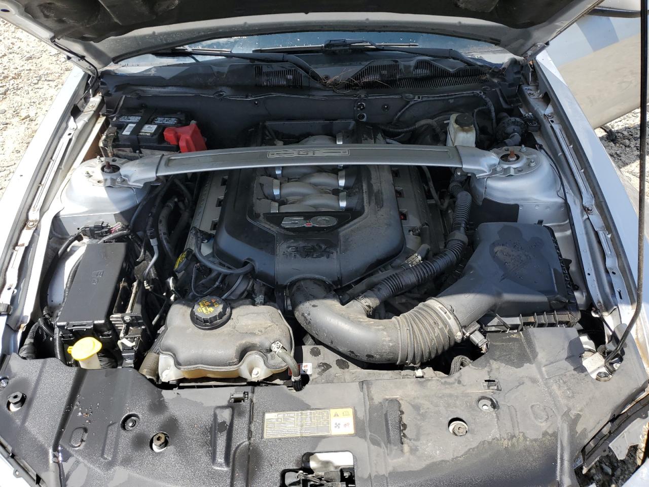 2013 Ford Mustang Gt VIN: 1ZVBP8CF7D5256841 Lot: 61355005