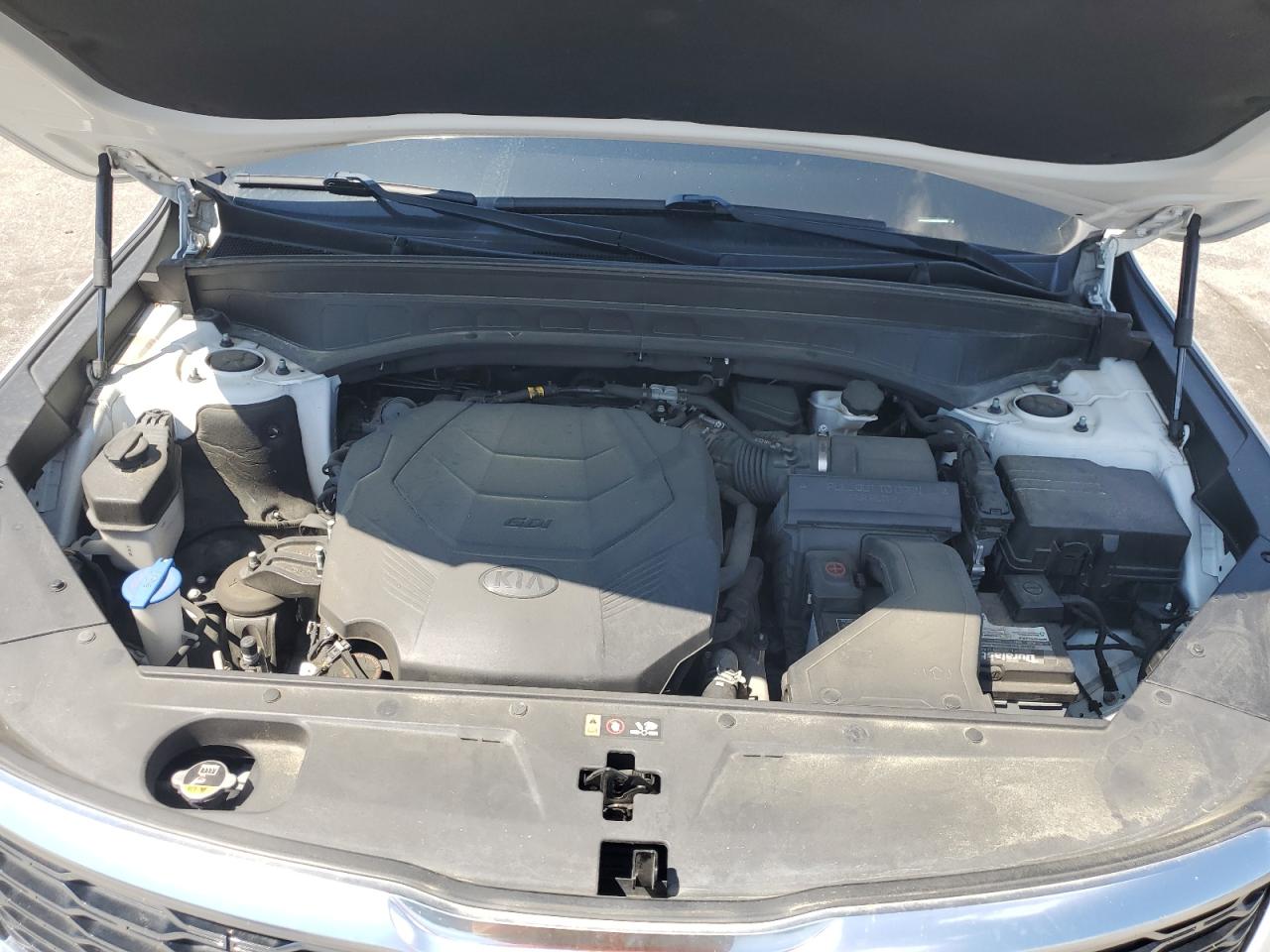 2020 Kia Telluride Ex VIN: 5XYP34HC5LG019833 Lot: 59298235