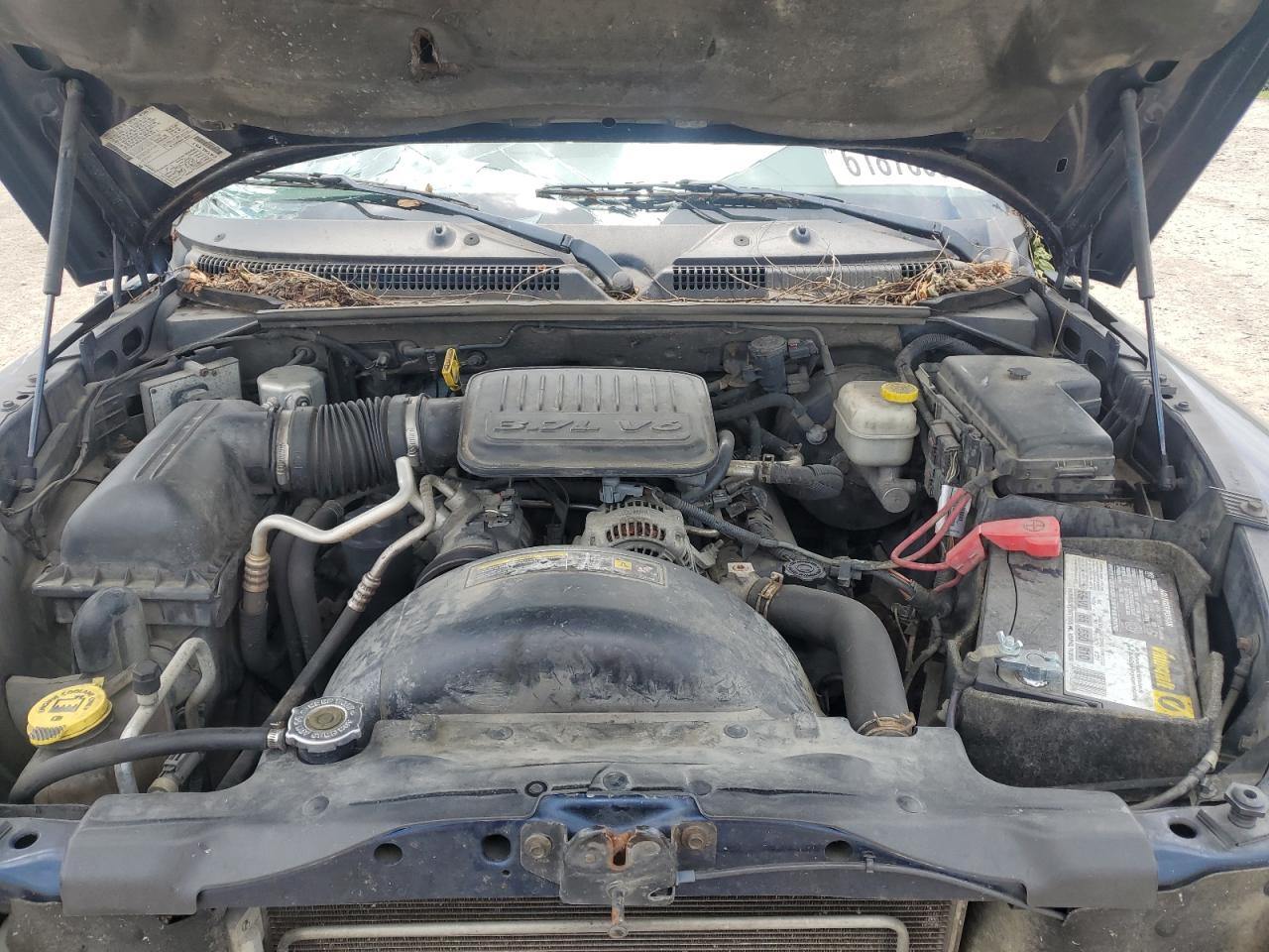 2006 Dodge Dakota Quad Slt VIN: 1D7HW48KX6S514908 Lot: 61878055