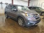 2019 Honda Pilot Exl   en Venta en Pennsburg, PA - Front End