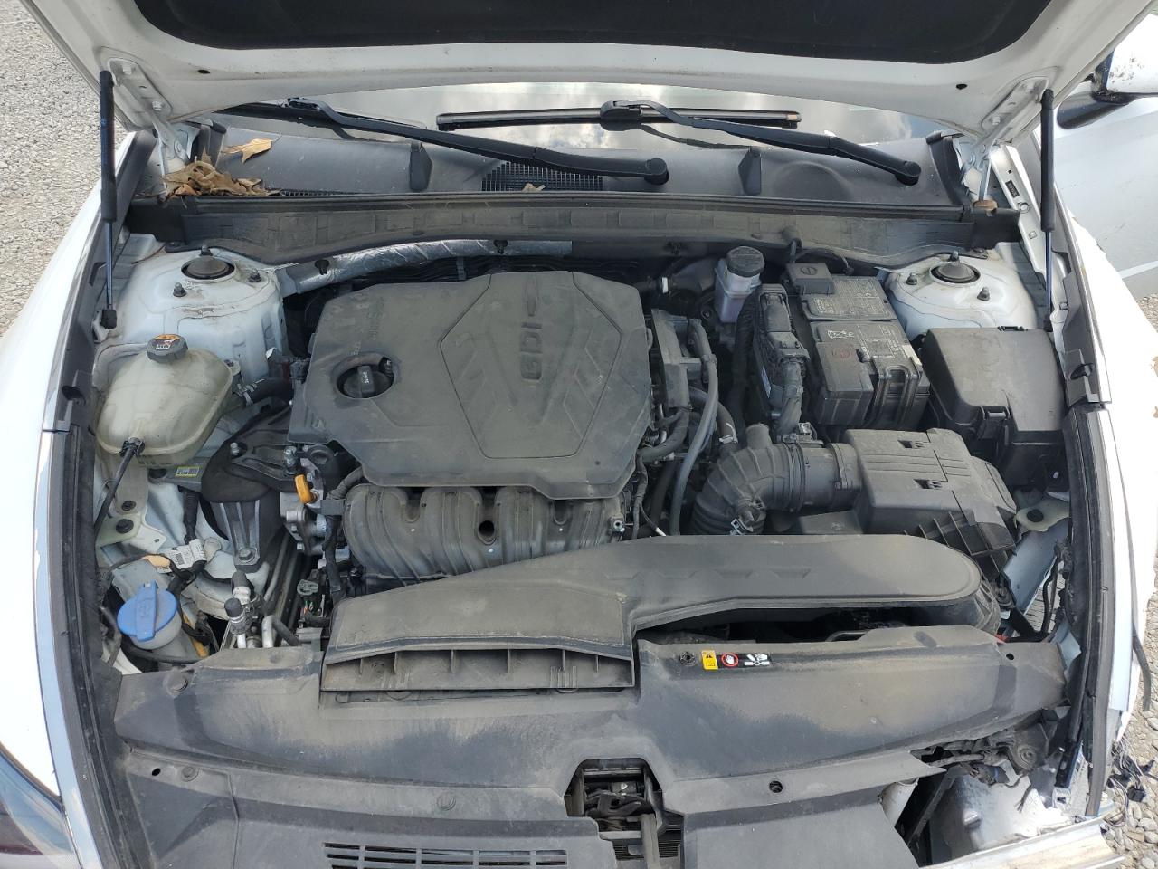 2020 Hyundai Sonata Sel VIN: 5NPEF4JA4LH055786 Lot: 62844985