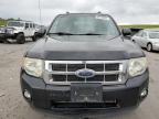 2012 Ford Escape Xlt for Sale in Littleton, CO - Front End