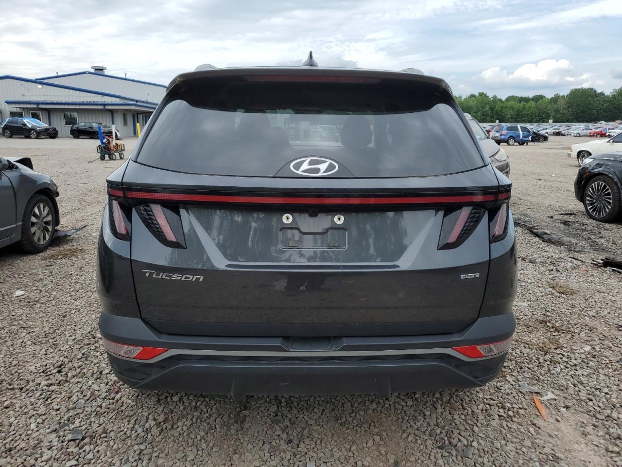 2023 Hyundai Tucson Sel VIN: 5NMJBCAE5PH186784 Lot: 62896985