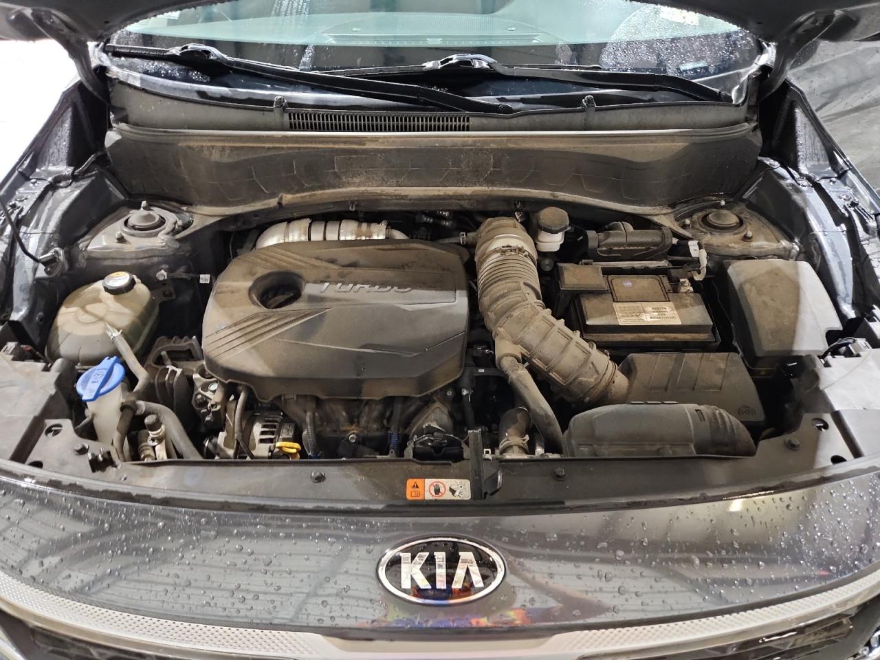 2021 Kia Seltos S VIN: KNDEUCA27M7087470 Lot: 62982895