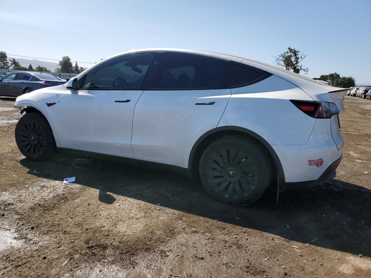TESLA MODEL Y 2024 VIN 7SAYGDEE5RF090807 фото 2