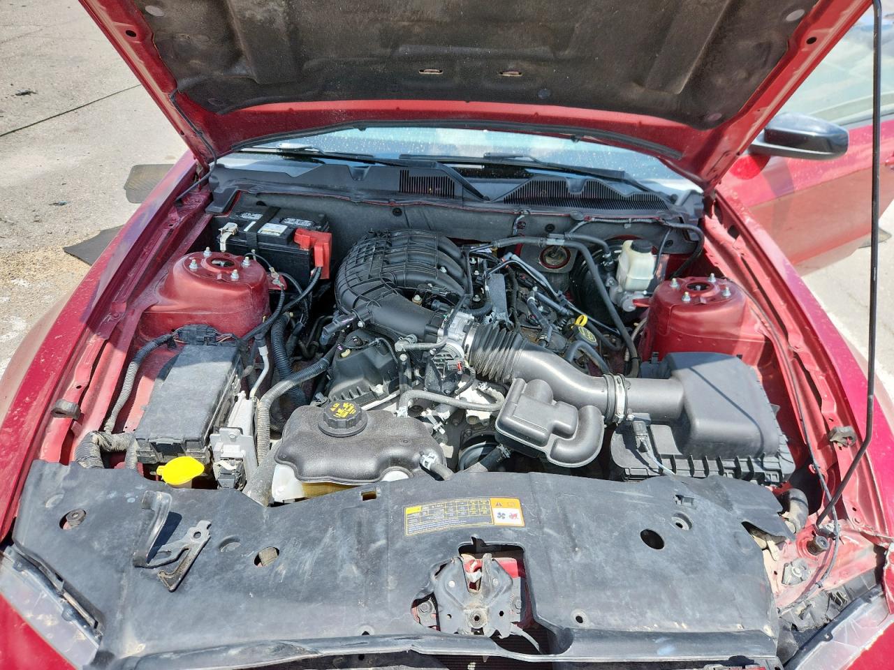 2014 Ford Mustang VIN: 1ZVBP8AM7E5301666 Lot: 62956785