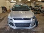 2013 Ford Escape Se for Sale in Ham Lake, MN - Front End
