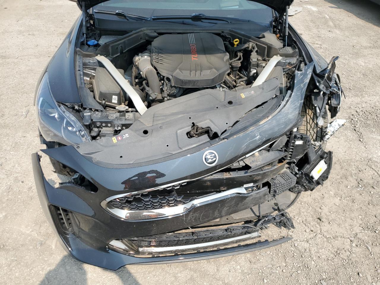 2019 Kia Stinger Gt2 VIN: KNAE55LCXK6045907 Lot: 59949515