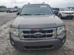 2010 Ford Escape Xlt for Sale in Lawrenceburg, KY - Front End
