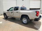2024 Chevrolet Colorado  for Sale in Tanner, AL - Side