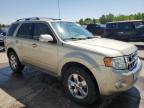 2010 Ford Escape Limited for Sale in Littleton, CO - Front End