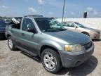 2005 Ford Escape Xlt იყიდება Montgomery-ში, AL - Top/Roof