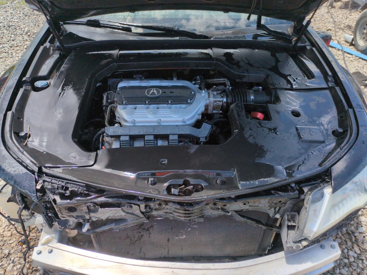 2010 Acura Tl VIN: 19UUA8F50AA018107 Lot: 62238245