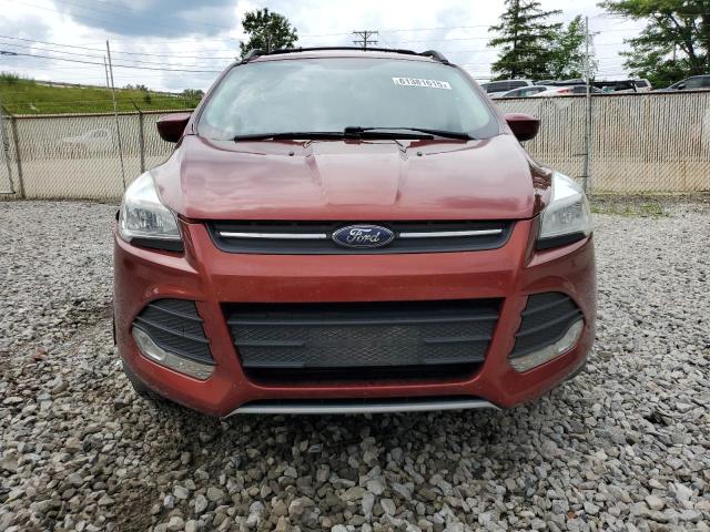 Паркетники FORD ESCAPE 2016 Красный