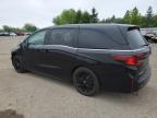 2025 HONDA ODYSSEY BLACK EDITION   à vendre chez Copart ON - TORONTO