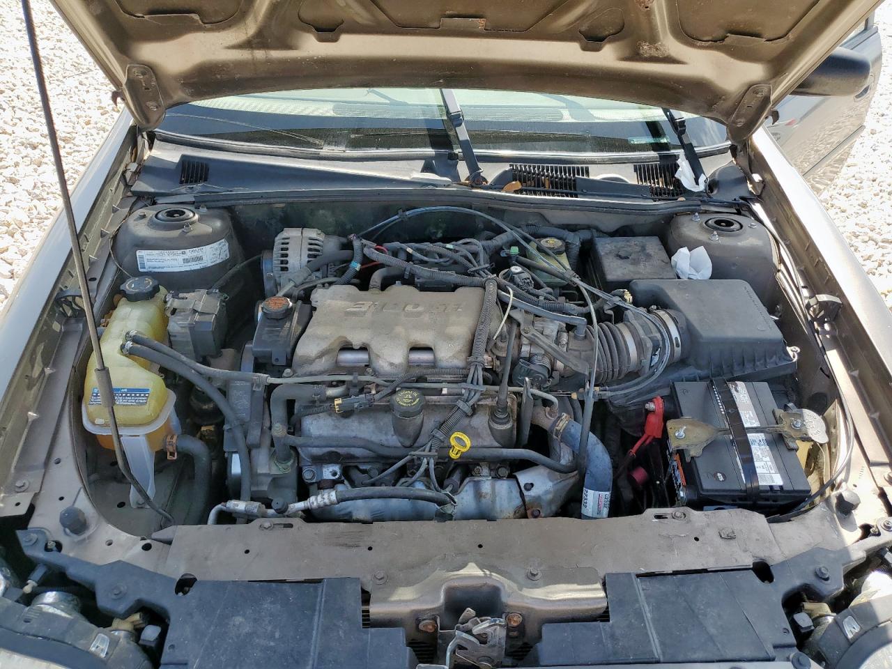 2000 Chevrolet Malibu VIN: 1G1ND52J7Y6161895 Lot: 61446775