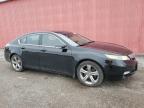 2012 Acura Tl    продається в London, ON - Minor Dent/Scratches