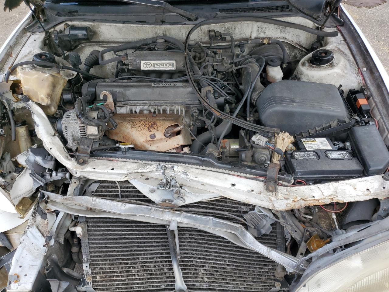 1995 Toyota Camry Le VIN: 4T1SK12E2SU874293 Lot: 59901215