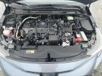 2023 TOYOTA COROLLA LE   for sale at Copart NS - HALIFAX