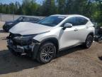 2024 LEXUS NX 450H LUXURY   for sale at Copart ON - COOKSTOWN
