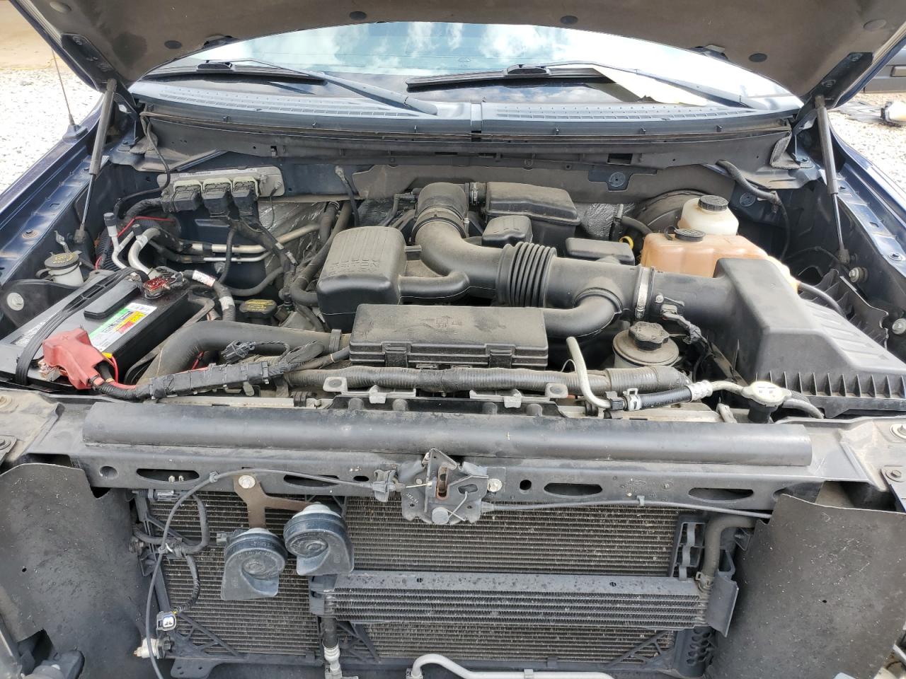 2010 Ford F150 Supercrew VIN: 1FTFW1CVXAFD49560 Lot: 60043225