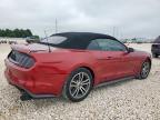 Temple, TX에서 판매 중인 2015 Ford Mustang  - Rear End