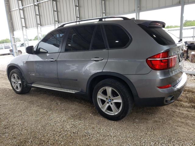 Parquets BMW X5 2012 Gray