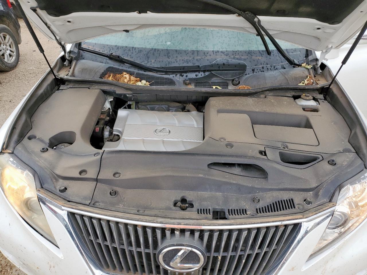 2011 Lexus Rx 350 VIN: JTJZK1BA3B2005307 Lot: 62293375