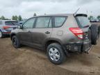 Rocky View County, AB에서 판매 중인 2010 Toyota Rav4    - Rear End
