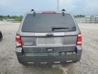 2010 Ford Escape Xlt for Sale in Lawrenceburg, KY - Front End
