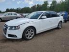 2009 AUDI A4 2.0T QUATTRO   à vendre chez Copart ON - COOKSTOWN