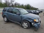 2011 Ford Escape Xlt იყიდება Brookhaven-ში, NY - Front End