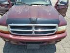 Colton, CA에서 판매 중인 2002 Dodge Durango Slt - Minor Dent/Scratches