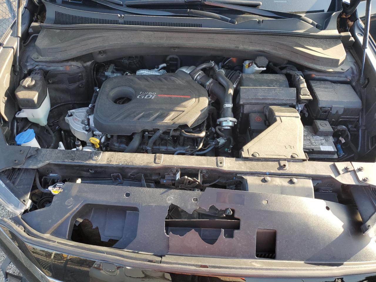 2020 Hyundai Santa Fe Limited VIN: 5NMS5CAA2LH280205 Lot: 61719635