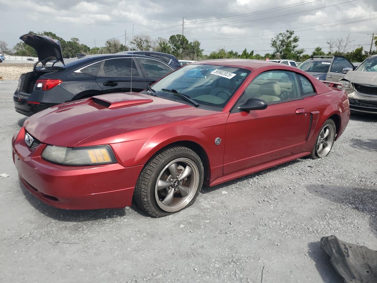 Riverview, FL에서 판매 중인 2004 Ford Mustang Gt - Rear End