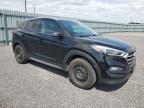 2017 Hyundai Tucson Limited   للبيع في Ottawa، ON - Minor Dent/Scratches