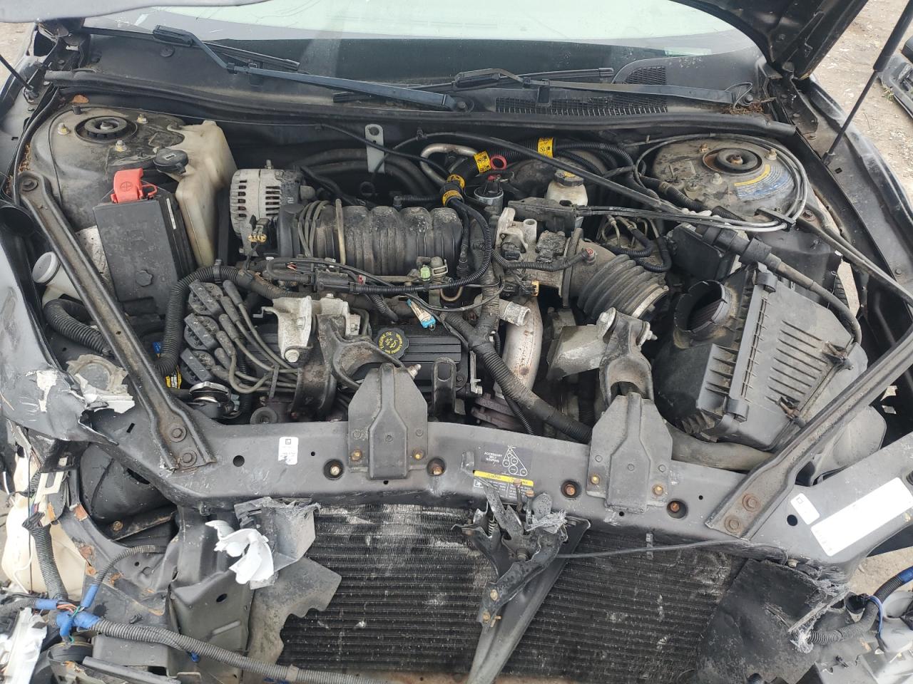 2002 Buick Regal Ls VIN: 2G4WB55K221218195 Lot: 62346645