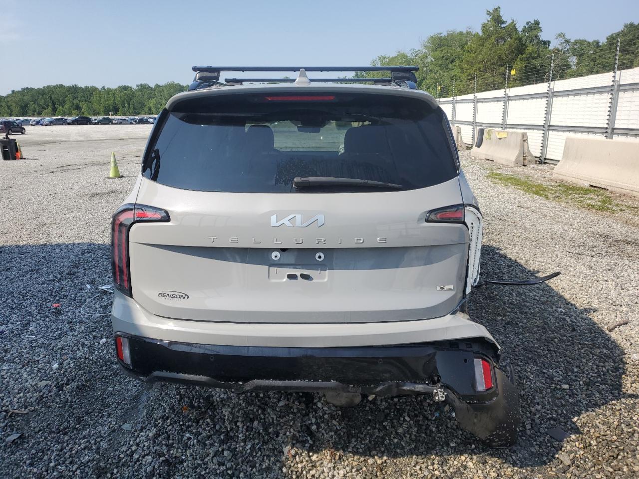 2024 Kia Telluride Sx VIN: 5XYP5DGC0RG510069 Lot: 62489365